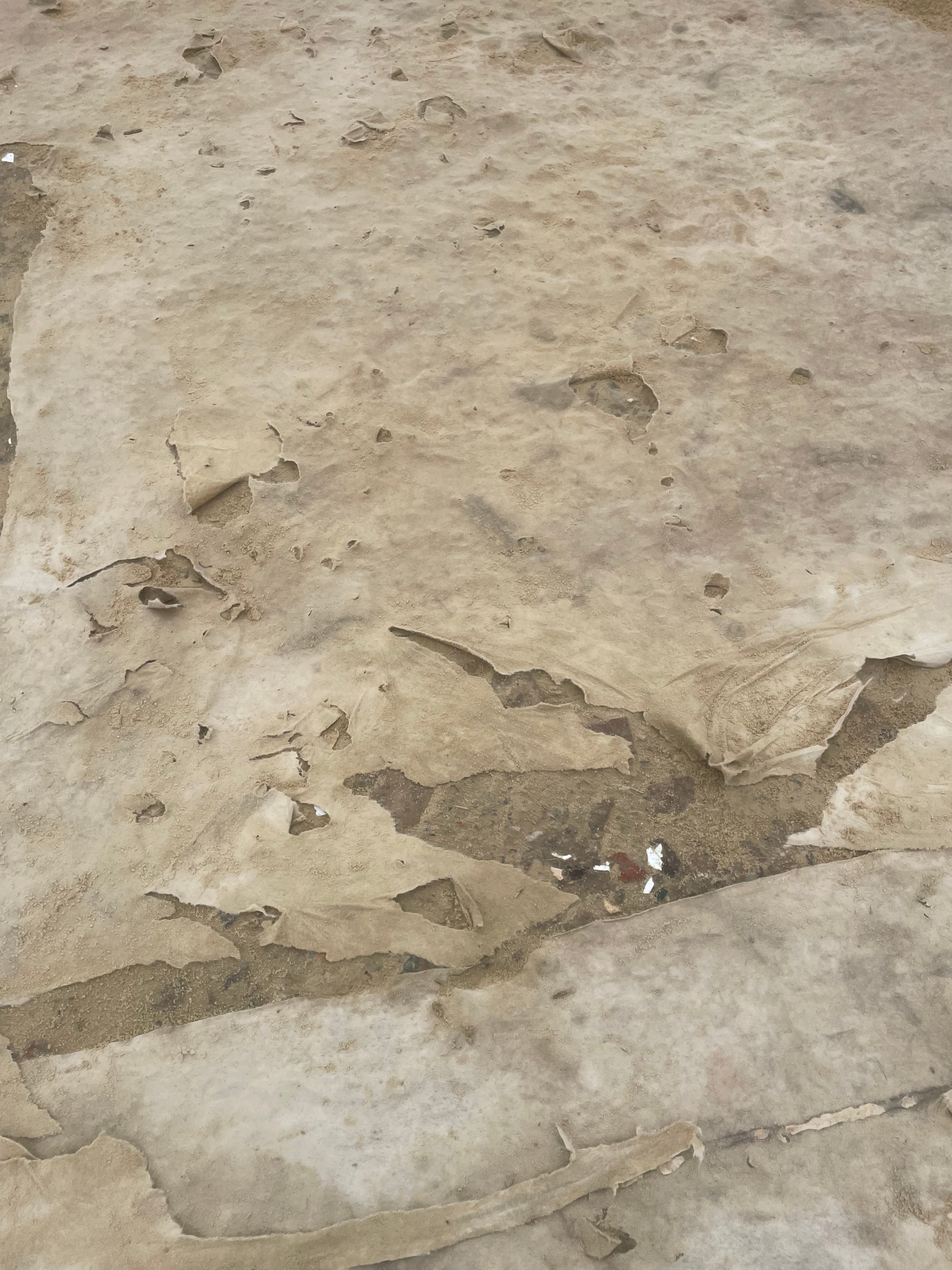 Membrane Repairs